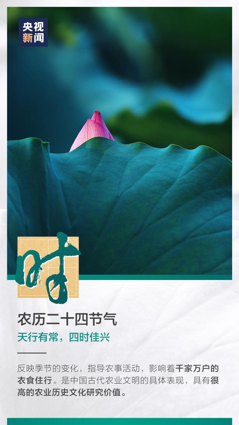 這也太浪漫了吧！