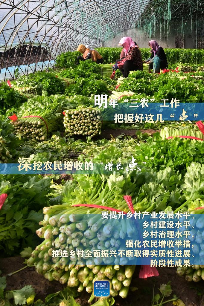 明年“三農(nóng)”工作，這幾個(gè)“點(diǎn)”要把握好