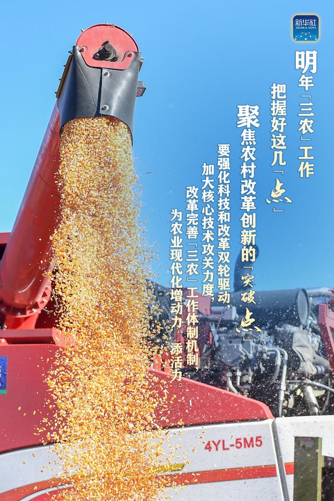 明年“三農(nóng)”工作，這幾個(gè)“點(diǎn)”要把握好