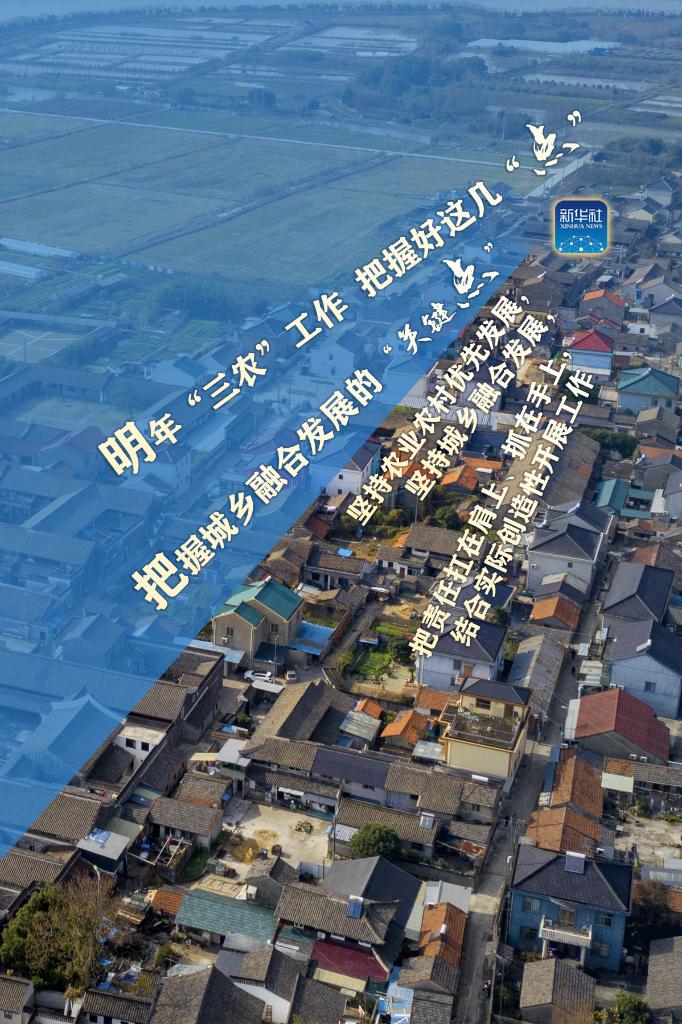 明年“三農(nóng)”工作，這幾個(gè)“點(diǎn)”要把握好