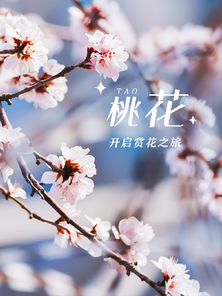 追花指南第三期！別等了 今天就去和桃花撞個(gè)滿懷