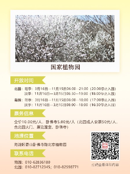 追花指南第六期！杏花雨 楊柳風(fēng) 北京最美的杏花在這里