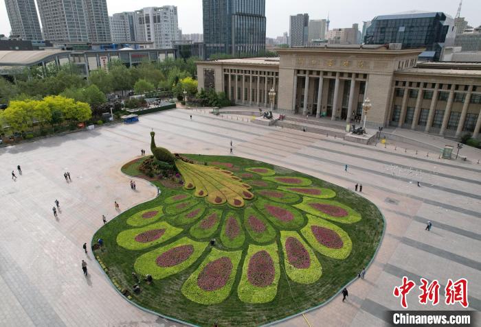 圖為航拍花壇。(無人機照片) 翟羽佳 攝