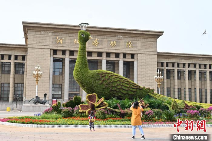 圖為游客在花壇前拍照打卡?！〉杂鸺?攝