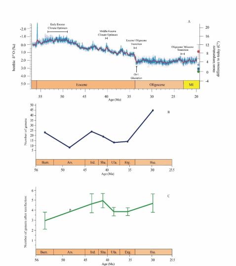 早始新世至早漸新世東亞嚙齒類屬級多樣性變化?！≈锌圃汗偶棺邓?供圖