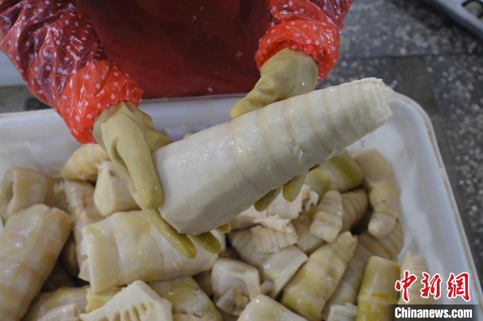 圖為整根腌制后撈出的酸筍?！⒖÷?攝