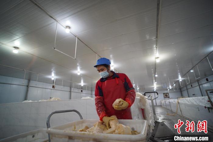 圖為一名工人正在查看酸筍腌制效果。　韋國(guó)政 攝