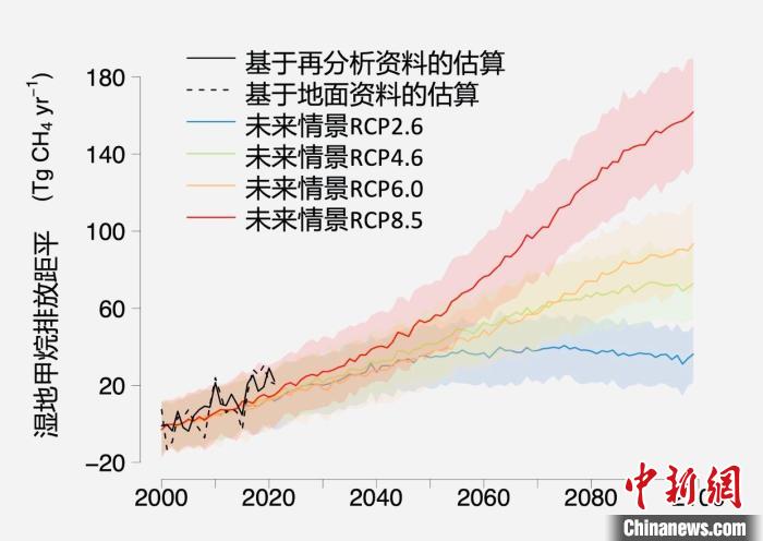 基于觀測的濕地甲烷排放變化與未來氣候變化情景下估算的對比。　中科院青藏高原所 供圖