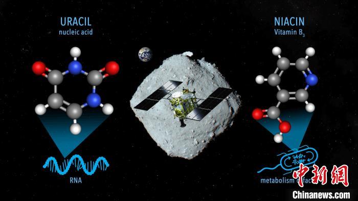 國際最新研究稱，近地小行星“龍宮”上發(fā)現(xiàn)尿嘧啶等核酸堿基