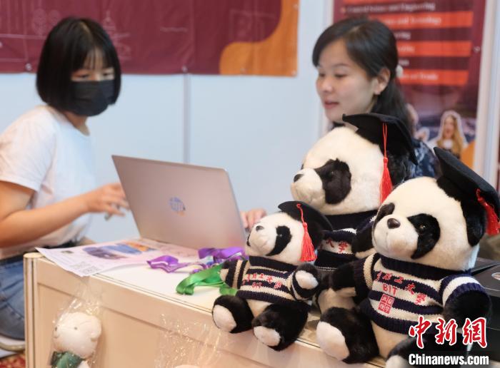 北京理工大學(xué)帶來可愛熊貓玩偶，頗為吸睛 陳悅 攝