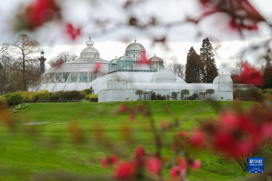 這是4月14日在比利時(shí)布魯塞爾拍攝的拉肯宮王家溫室花園。新華社記者 鄭煥松 攝