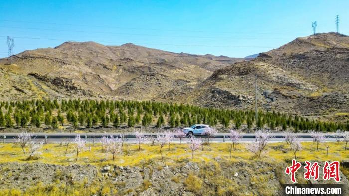 生態(tài)修復后逐漸變綠的賀蘭山石嘴山段。　石嘴山市委宣傳部供圖