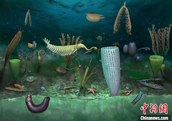 Castle Bank動物群藝術(shù)復原圖(Yang Dinghua繪制)。　施普林格·自然 供圖