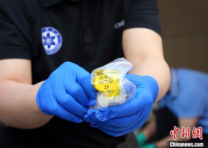 隨神舟十五號(hào)返回地面的空間科學(xué)實(shí)驗(yàn)樣品?！≈锌圃嚎臻g應(yīng)用中心 供圖