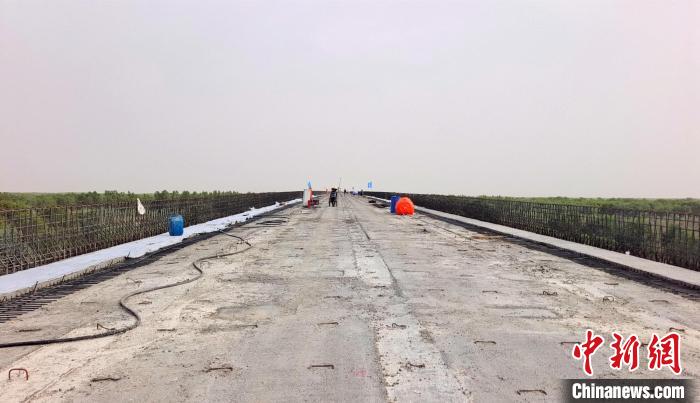 工作人員正在橋面上緊張有序地施工?！∈酚窠?攝