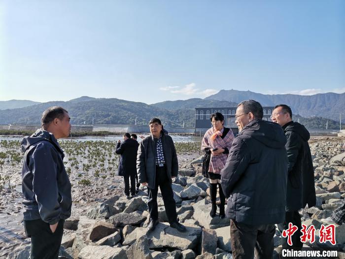 浙江海洋生態(tài)觀察：智慧大腦如何解鎖藍色發(fā)展密碼？