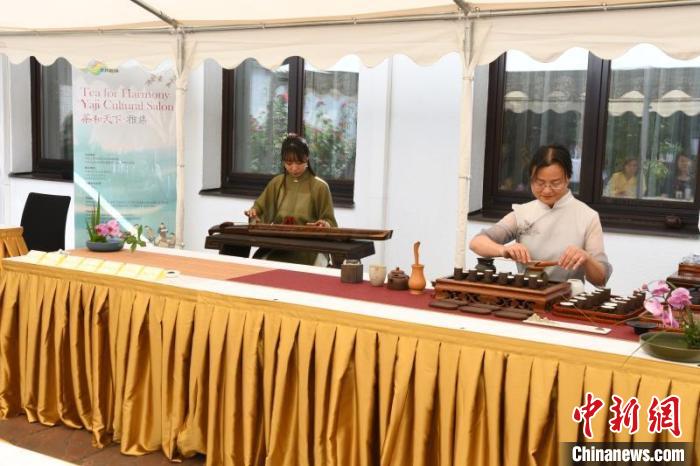 圖為余亞麗茶藝展示，王曉嬋古琴演奏 柏林中國(guó)文化中心供圖。
