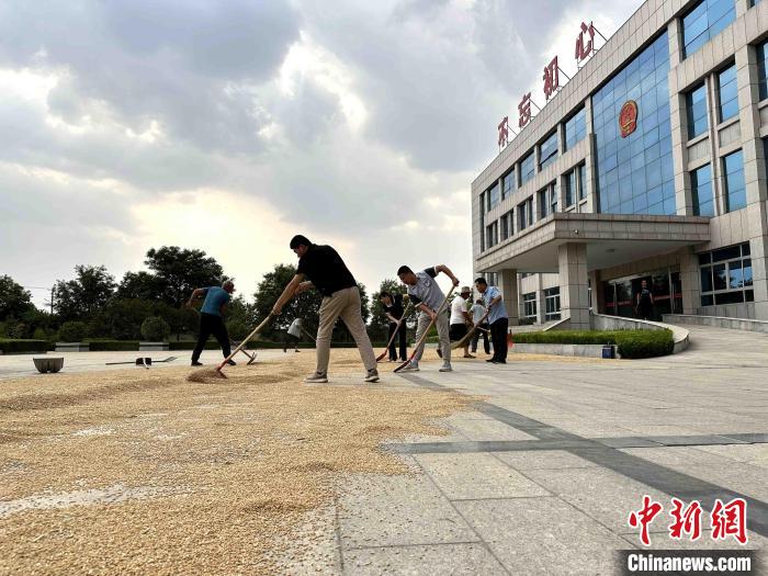 平原縣組織志愿者幫助農(nóng)民晾曬小麥?！垈?攝