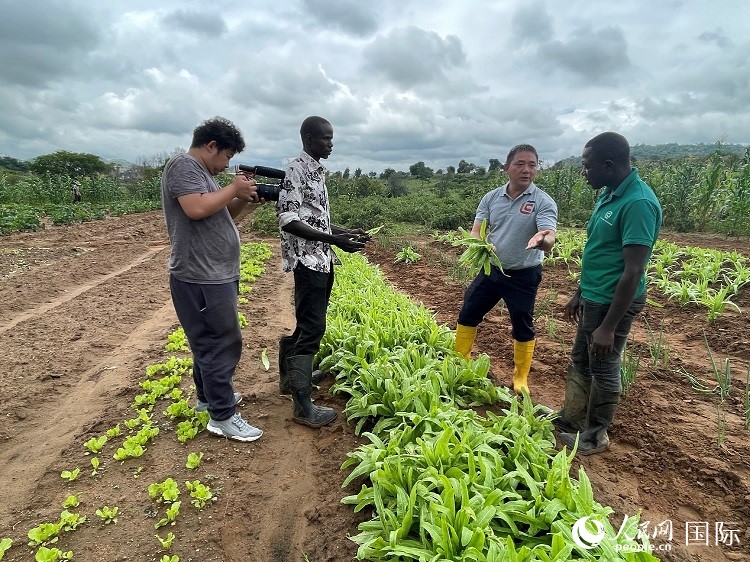 人民網(wǎng)記者走進尼日利亞農(nóng)業(yè)技術(shù)示范中心。人民網(wǎng)記者 趙艷紅攝