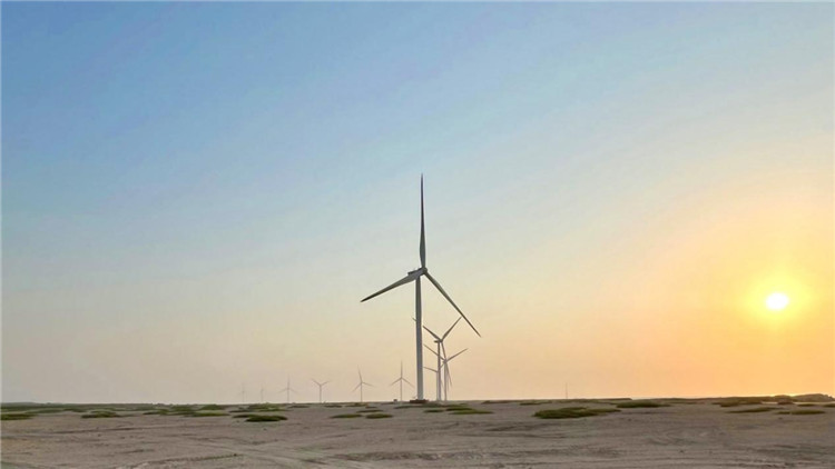 圖為阿聯(lián)酋風(fēng)電示范項(xiàng)目在阿布扎比薩爾巴尼亞斯島上的風(fēng)電場(chǎng)。 中國(guó)電建供圖