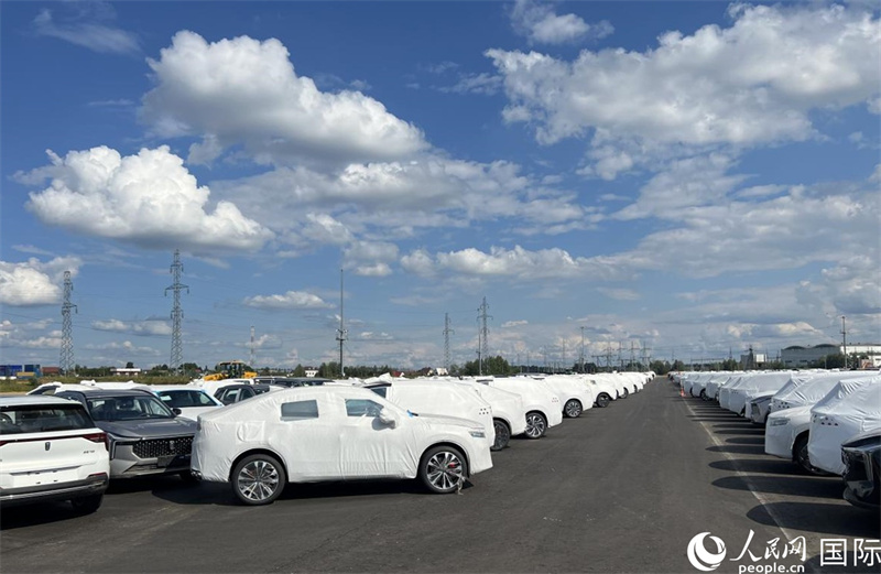 莫斯科別雷拉斯特物流中心內(nèi)的中國品牌汽車。人民網(wǎng)記者 申佳平攝