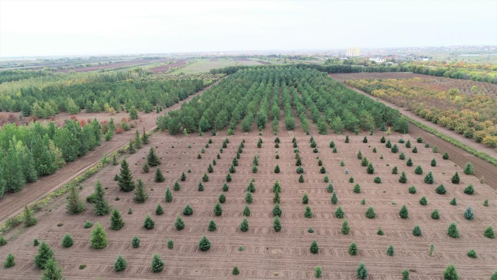 這是2023年9月11日在哈薩克斯坦首都阿斯塔納拍攝的一處植物種質(zhì)資源苗圃（無人機(jī)照片）。新華社發(fā)（法爾哈特·圖克諾夫 攝）