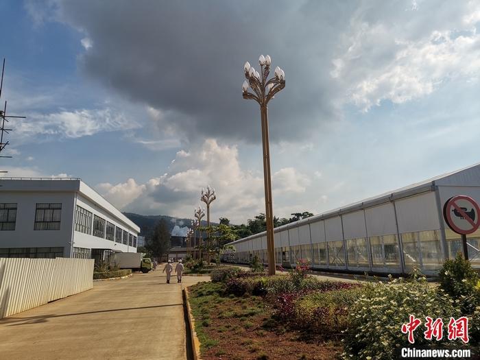 圖為園區(qū)生活區(qū)。 受訪者供圖