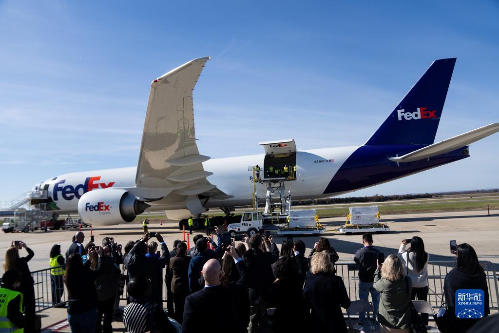 11月8日，在美國弗吉尼亞州的華盛頓杜勒斯國際機場，裝有大熊貓的特制“旅行包廂”準(zhǔn)備運上專機。新華社記者劉杰攝