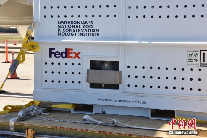 當(dāng)?shù)貢r間11月8日，美國華盛頓史密森學(xué)會國家動物園的大熊貓“美香”“添添”和它們的幼崽“小奇跡”乘坐的專機(jī)從華盛頓杜勒斯國際機(jī)場起飛前往中國成都。圖為裝有大熊貓的特制“旅行箱”。<a target='_blank' href='/'><p  align=