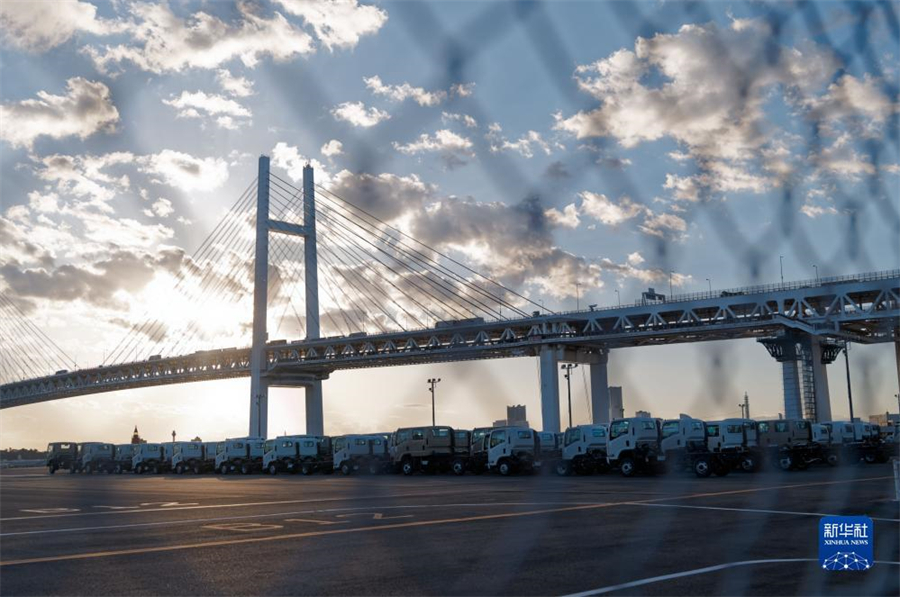 這是11月14日在日本橫濱拍攝的進(jìn)出口汽車集散場地。新華社記者 張笑宇 攝
