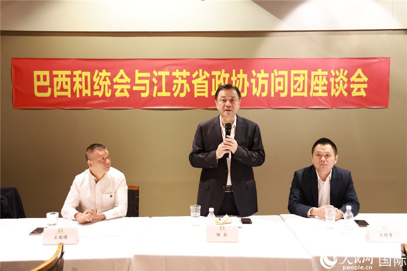 江蘇省政協(xié)副主席楊岳（中）在座談會(huì)上致辭。人民網(wǎng)記者 陳海琪攝