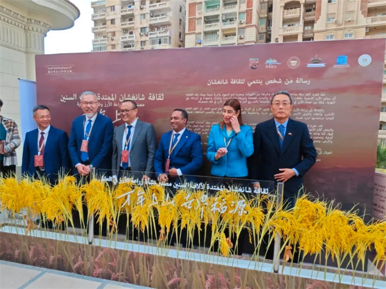 圖為現(xiàn)場嘉賓為特展啟幕。開羅中國文化中心供圖