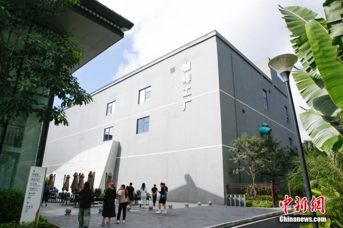 圖為采訪團一行參觀咖啡工廠。 曹淼欣 攝