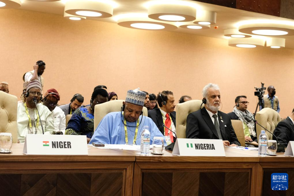 1月20日，與會代表出席在烏干達(dá)首都坎帕拉舉行的不結(jié)盟運動第19次峰會閉幕式。新華社發(fā)（阿佳拉·納瓦達(dá)攝）