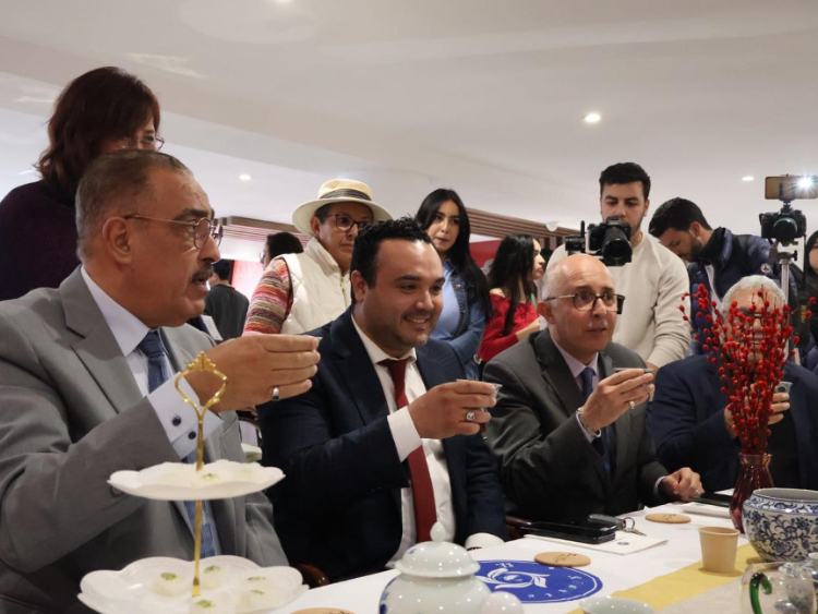 觀眾興致勃勃地體驗(yàn)茶藝。陳芷珊攝