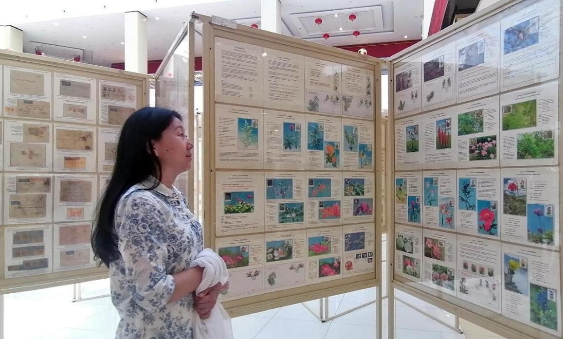 藥用植物極限片展覽場(chǎng)景。第七屆阿聯(lián)酋集郵展主辦方供圖