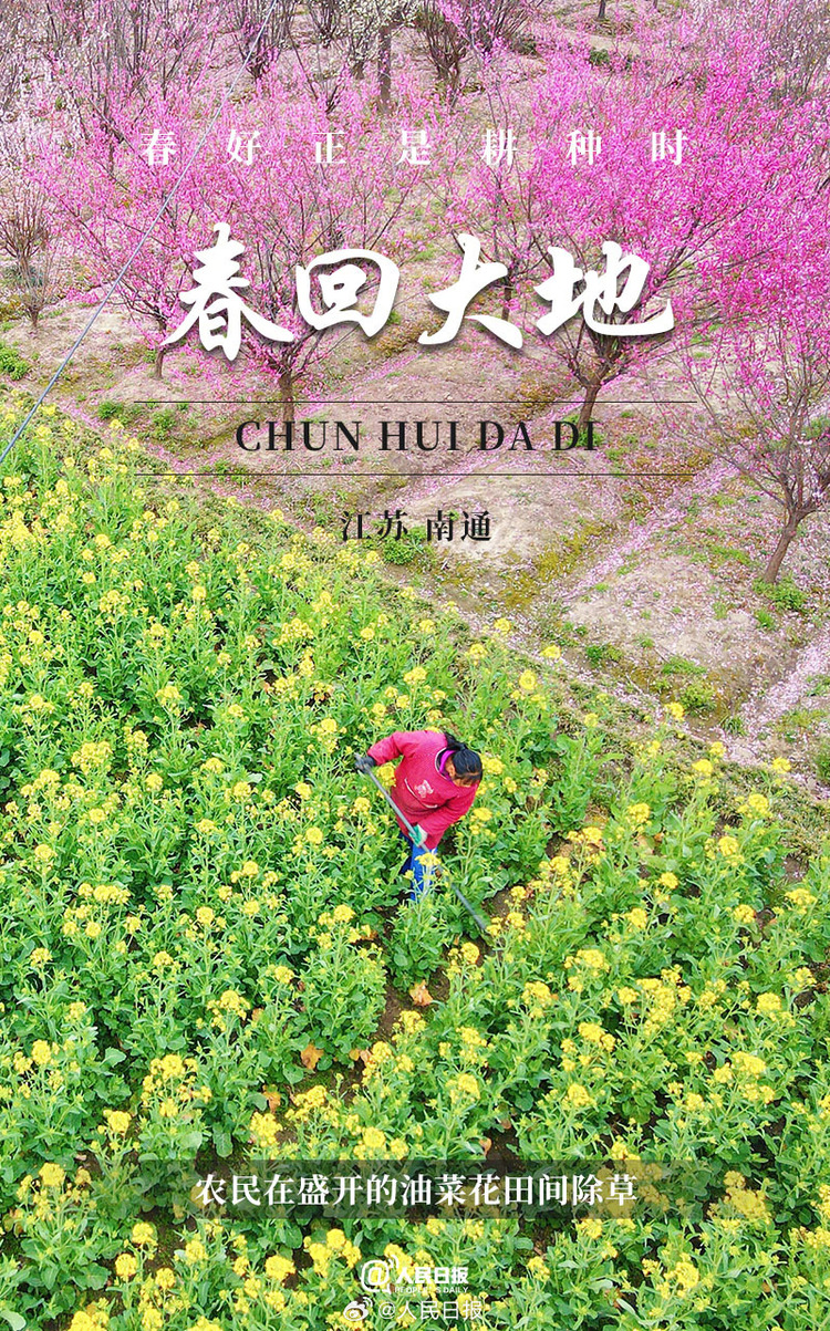 生機(jī)盎然！用課本封面打開(kāi)春耕畫(huà)卷