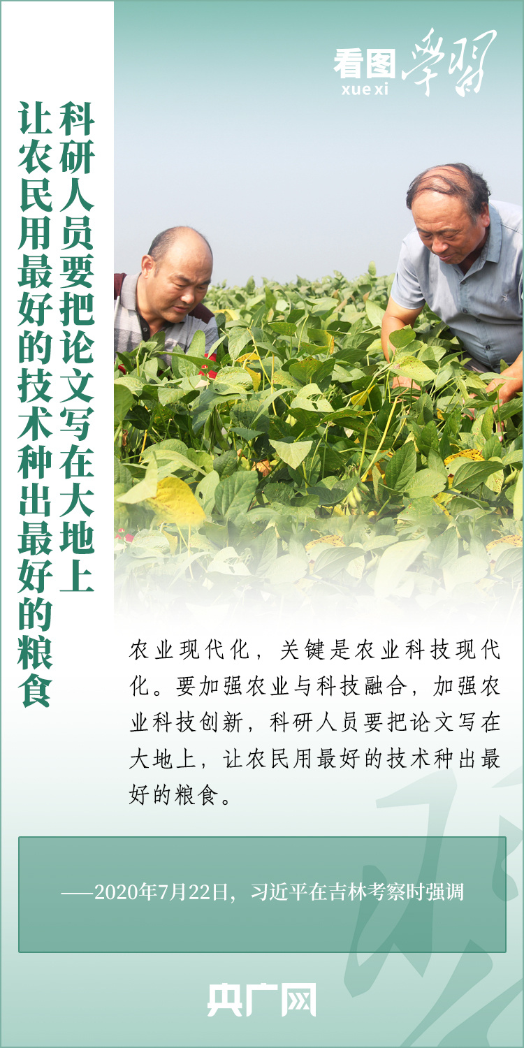 看圖學(xué)習(xí)丨推廣良田、良種、良法、良機(jī) 給農(nóng)業(yè)現(xiàn)代化插上科技的翅膀
