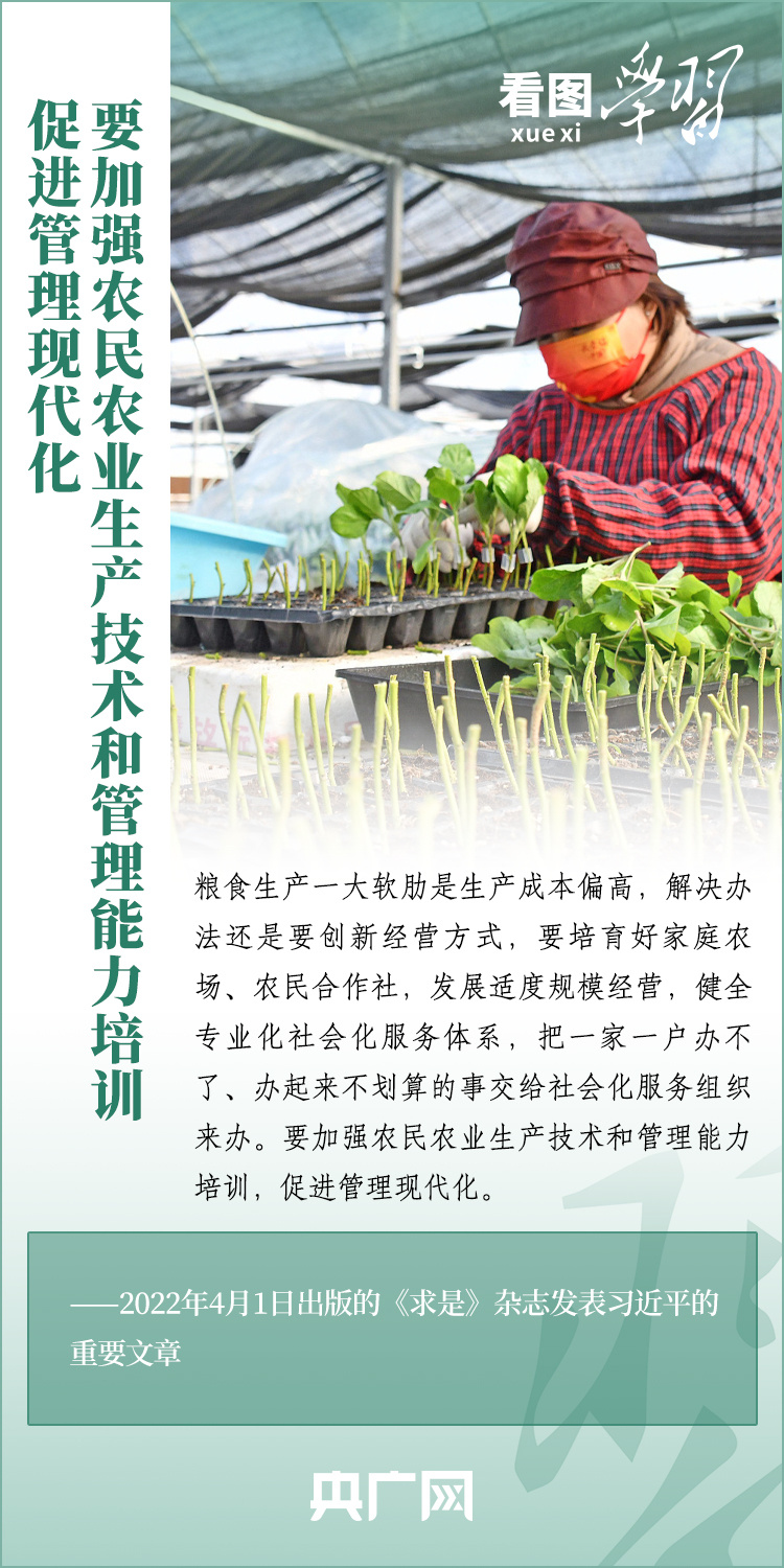 看圖學(xué)習(xí)丨推廣良田、良種、良法、良機(jī) 給農(nóng)業(yè)現(xiàn)代化插上科技的翅膀