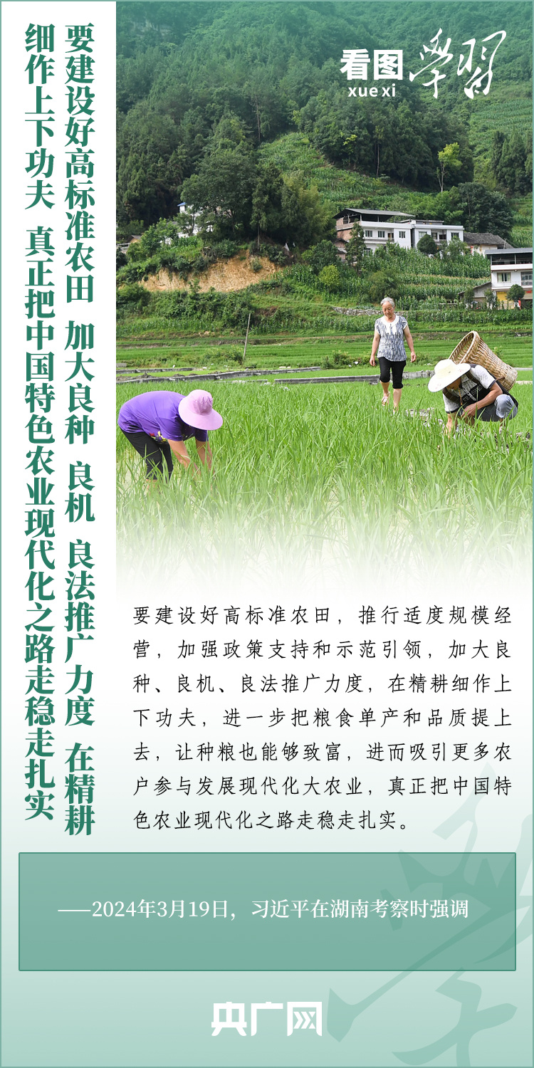 看圖學(xué)習(xí)丨推廣良田、良種、良法、良機(jī) 給農(nóng)業(yè)現(xiàn)代化插上科技的翅膀