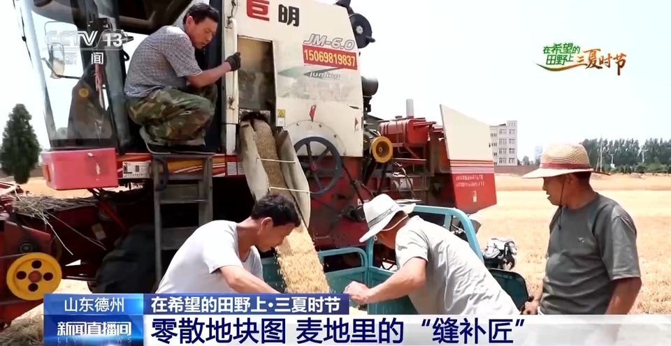 “三夏”生產(chǎn)思維導(dǎo)圖安排上了！還有政府大院等你來“曬”