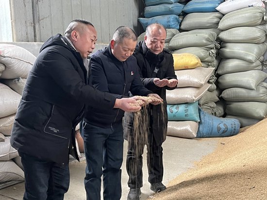 桃江種糧大戶與農(nóng)村農(nóng)業(yè)局技術(shù)人員正在查看春耕種子情況。受訪單位供圖