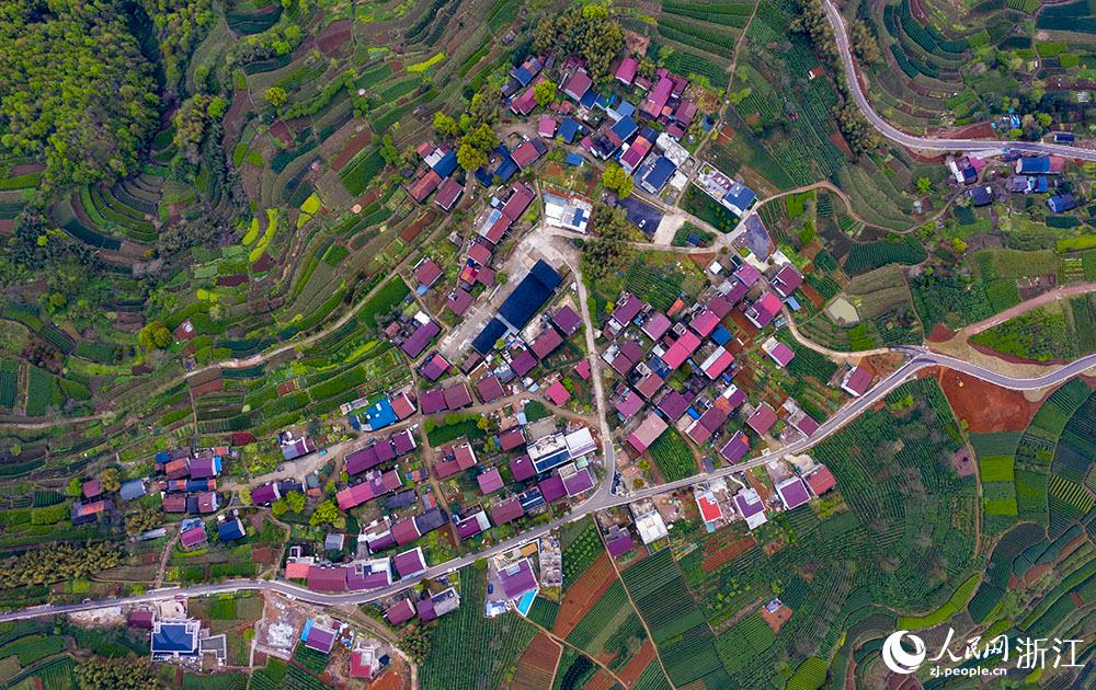 4月1日，紹興市新昌縣東茗鄉(xiāng)下巖貝村風(fēng)光秀麗，茶園旖旎。人民網(wǎng) 章勇濤攝