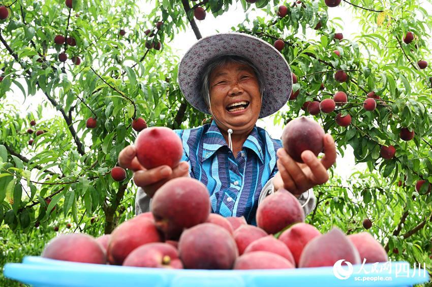 豐收的喜悅。蘭自濤攝