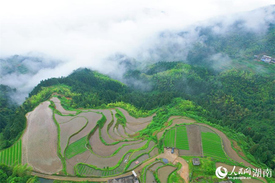 云中梯田美如畫。人民網(wǎng) 李芳森攝