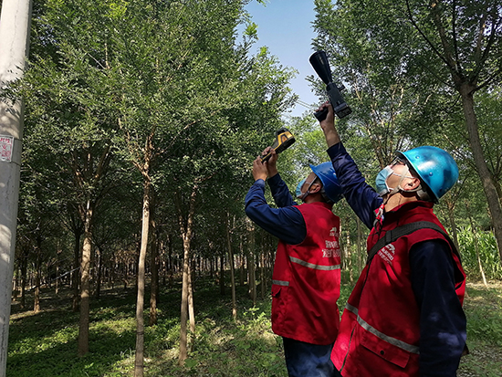 工作人員進(jìn)行紅外測溫及超聲波局部放電檢測。 王亮攝