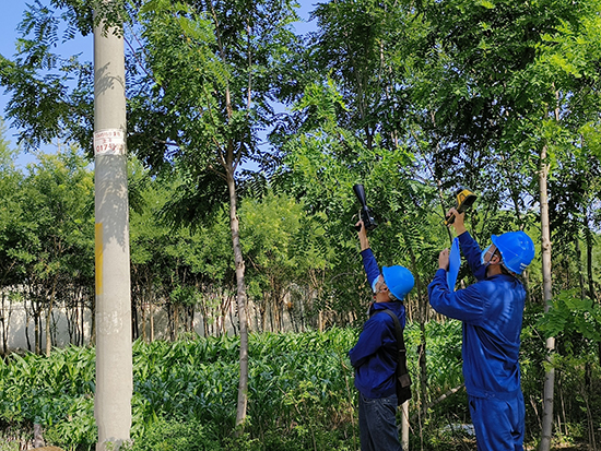 工作人員進(jìn)行紅外測溫及超聲波局部放電檢測。 王亮攝