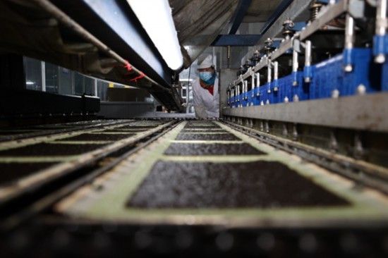 柘汪紫菜產(chǎn)業(yè)園內(nèi)入駐企業(yè)的紫菜生產(chǎn)線。贛榆區(qū)委宣傳部供圖