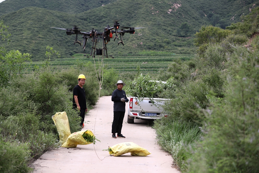 在石家莊市井陘縣吳家窯鄉(xiāng)長峪村荒山造林現(xiàn)場(chǎng)，一名無人機(jī)手操控?zé)o人機(jī)運(yùn)輸樹苗。王保龍攝