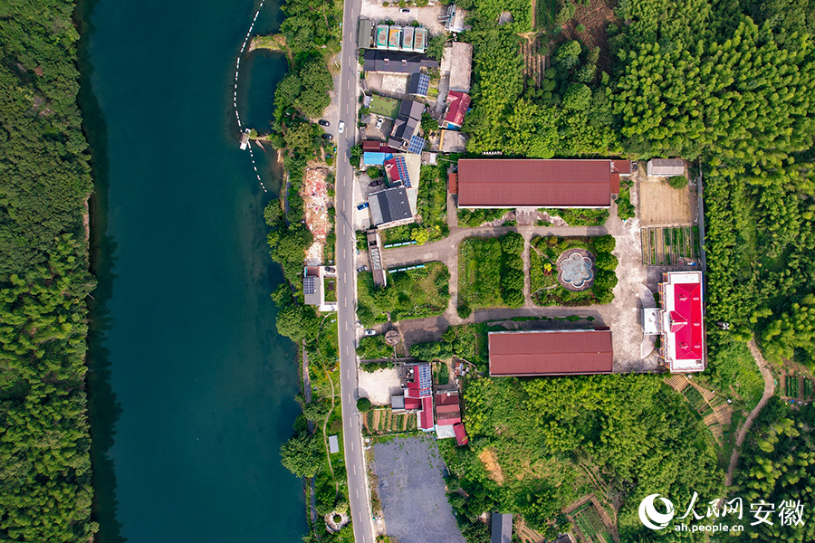 儲家灘民宿區(qū)。人民網(wǎng)記者 苗子健攝